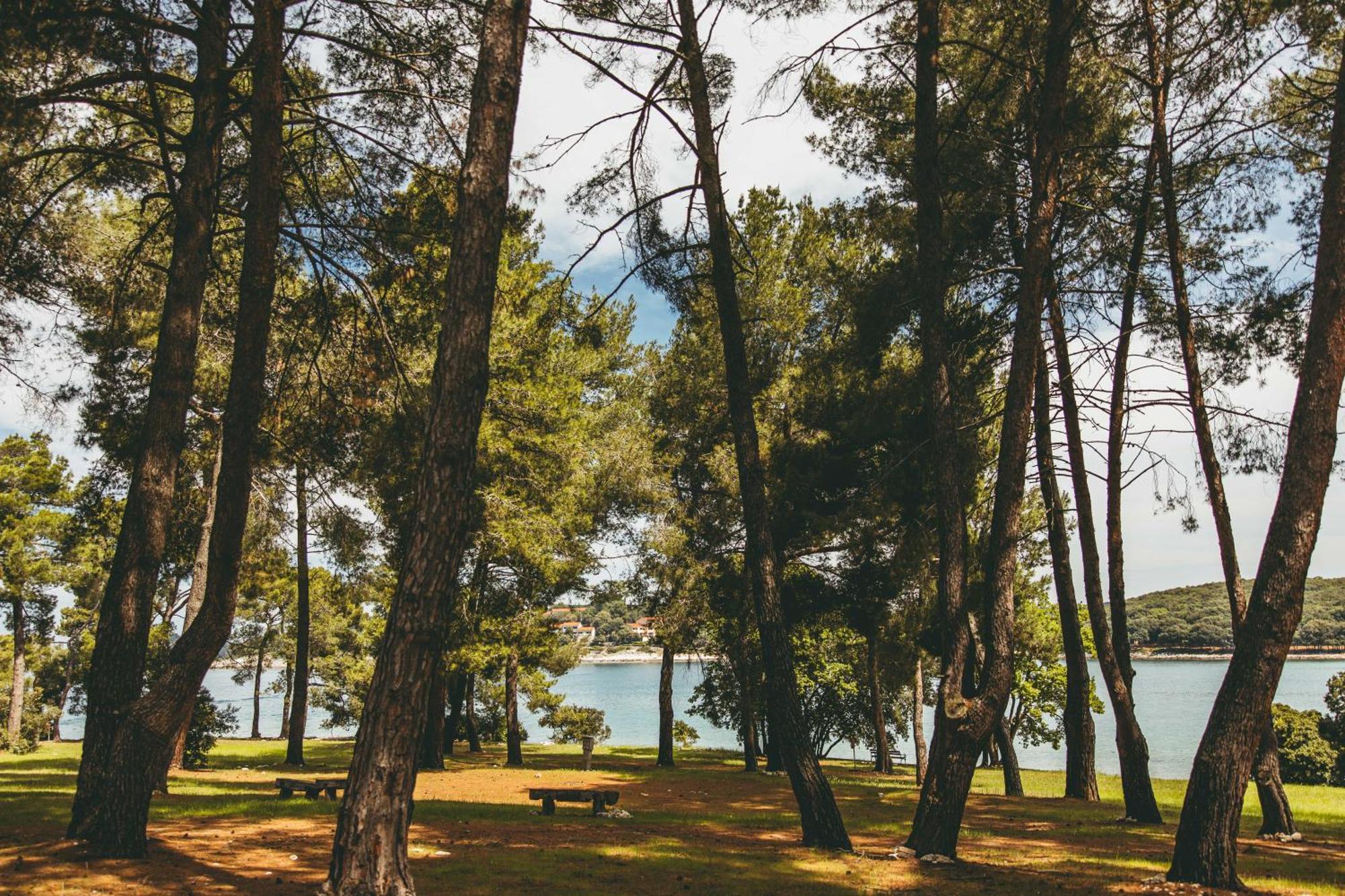 ורסאר Maistra Camping Koversada Uncovered Naturist Pitches מראה חיצוני תמונה