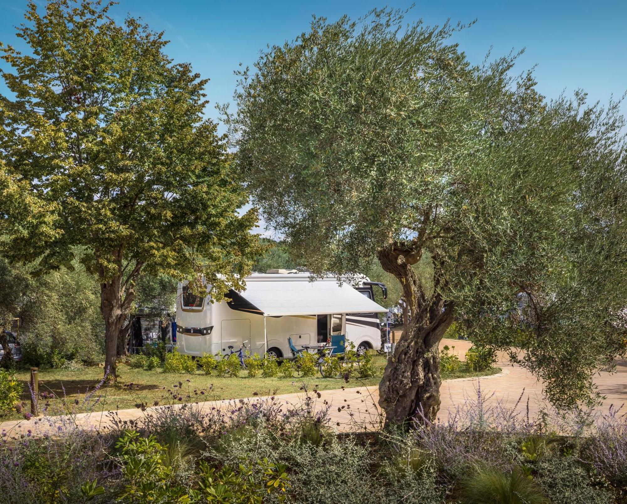 ורסאר Maistra Camping Koversada Uncovered Naturist Pitches מראה חיצוני תמונה